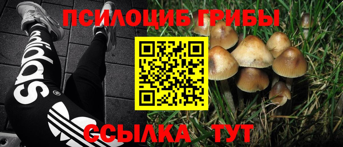 Галлюциногенные грибы Cubensis Ярцево