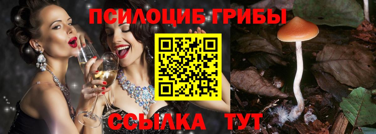 Ярцево  Галлюциногенные грибы Psilocybe  Вход с VPN 